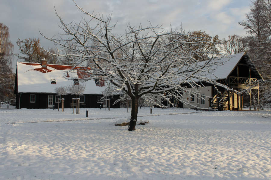 Verschneiter Fontanehof mit Blockbohlenhaus, Hofgebäude und Kirschbaum im Vordergrund