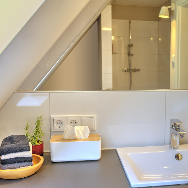 Duschbad mit Dusche im Spiegelbild und Waschtisch mit Tüchern